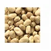 faba beans