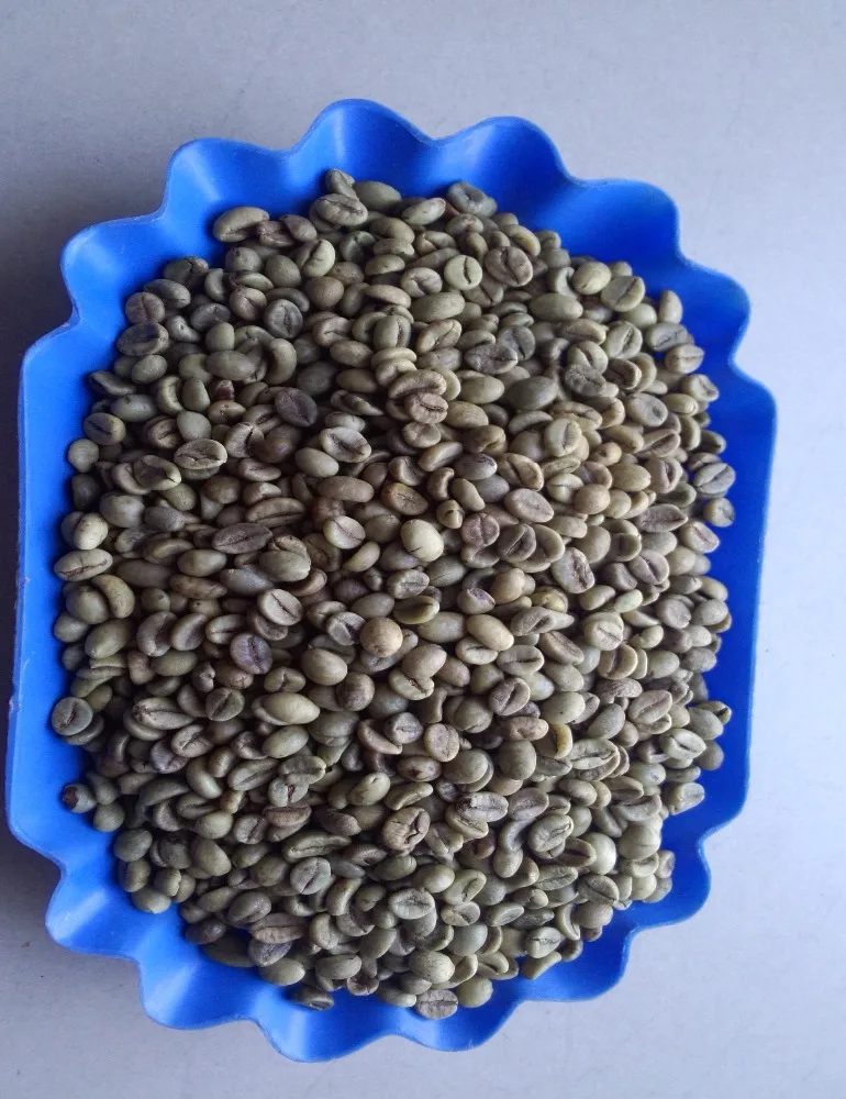 ROBUSTA WET POLISHED COFFEE BEANSalibaba