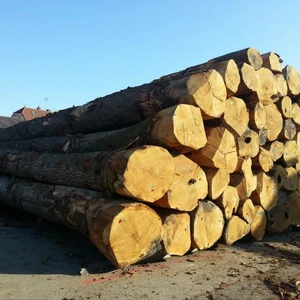 Red Cedar Logs Red Cedar Logs Suppliers And Manufacturers At