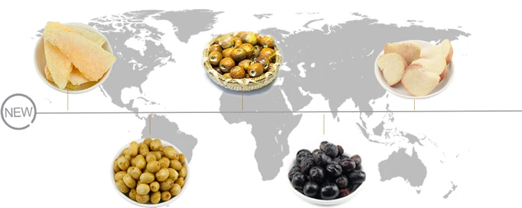 Organic Freeze Dried Blueberry Fruit And Dry Blueberry
