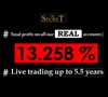 +13.258% on our REAL accounts / Forex Advisor, Robot System Strategy