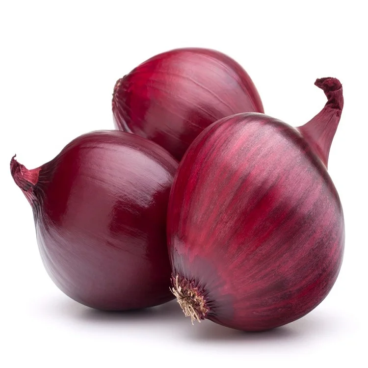 red yellow fresh onion wholesale