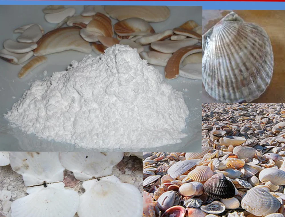 Calcined Powder / Scallop Powder By Viet Nam/ May - Buy Seashell Powder ...