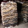 Top quality Donkey Hides for Sale At Competitive Price....