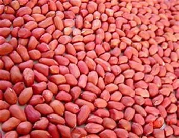 peanuts kernels blanched skin red larger