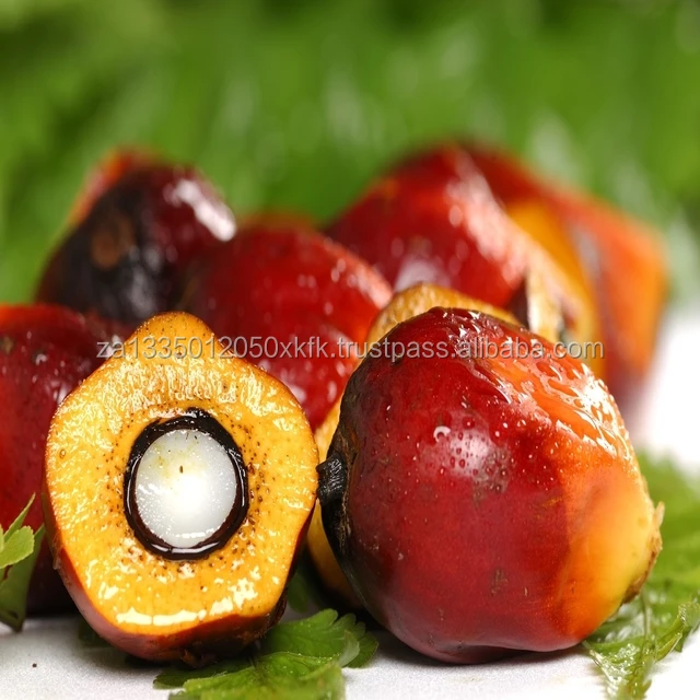 Palm-Oil 55.jpg