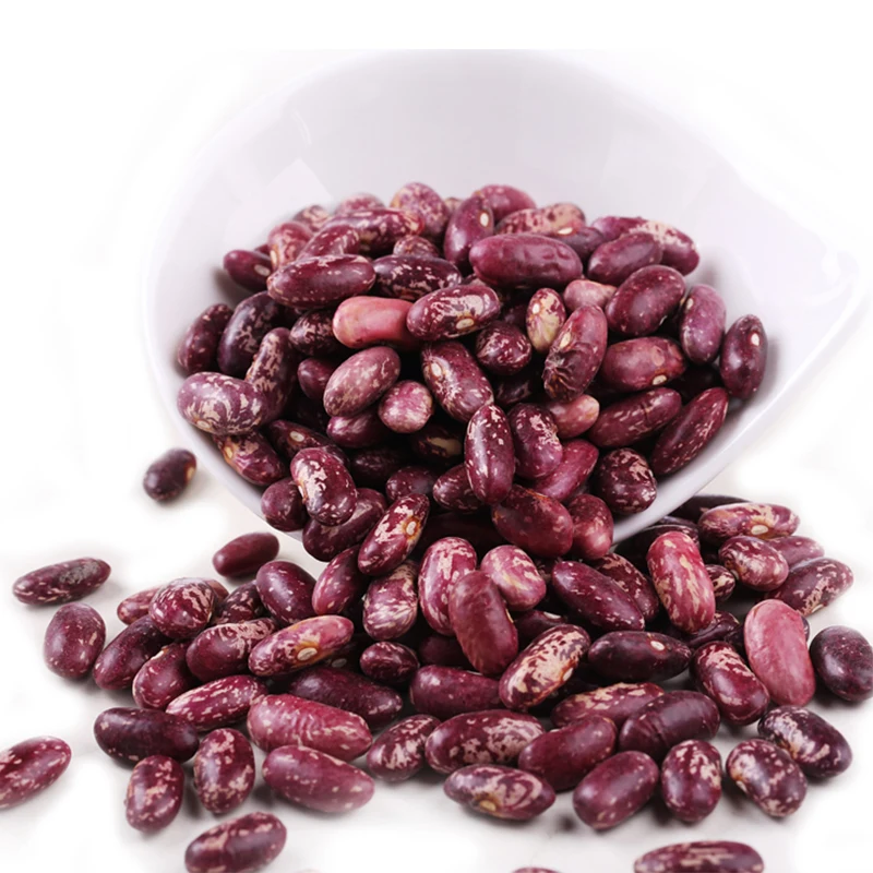 
Purple Speckled Kidney Bean Long Shape Cooking Dried Kidney Beans 