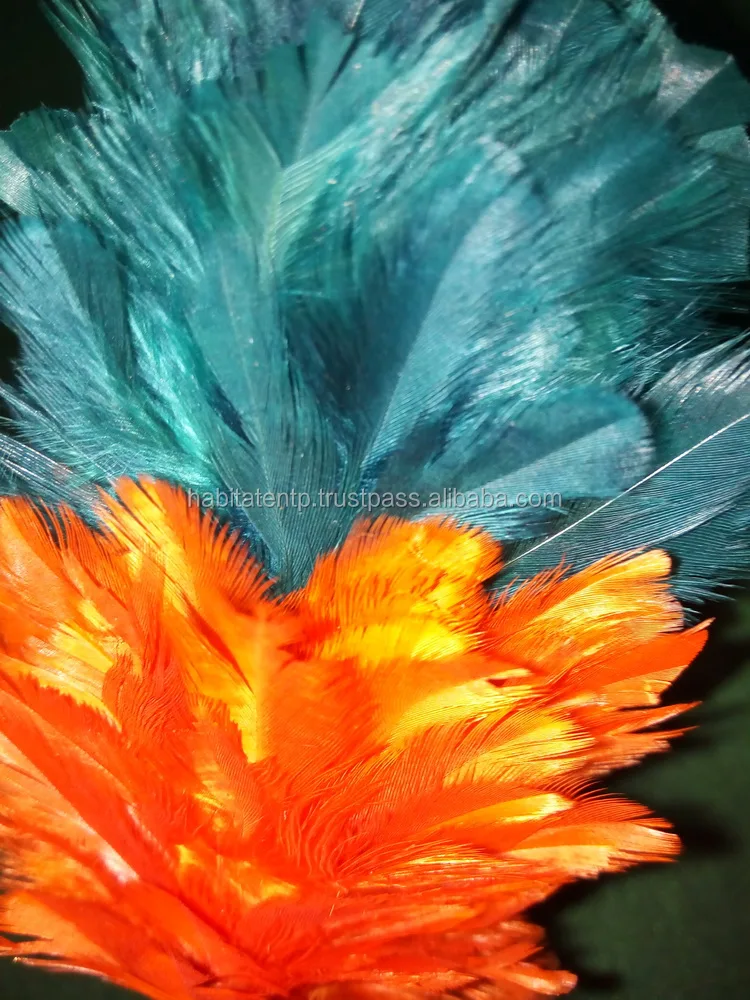 Feather Hackle 6 Plume For , Balmoral, Bonnet, Beret - Military - Foto 2