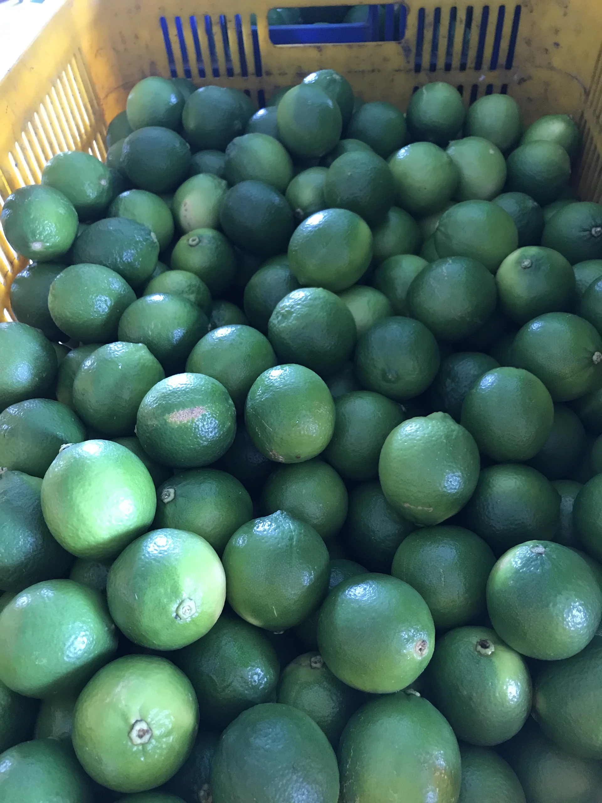 High Quality Fresh Green Lime Seedless/whatsapp 8484539639 Buy Fresh