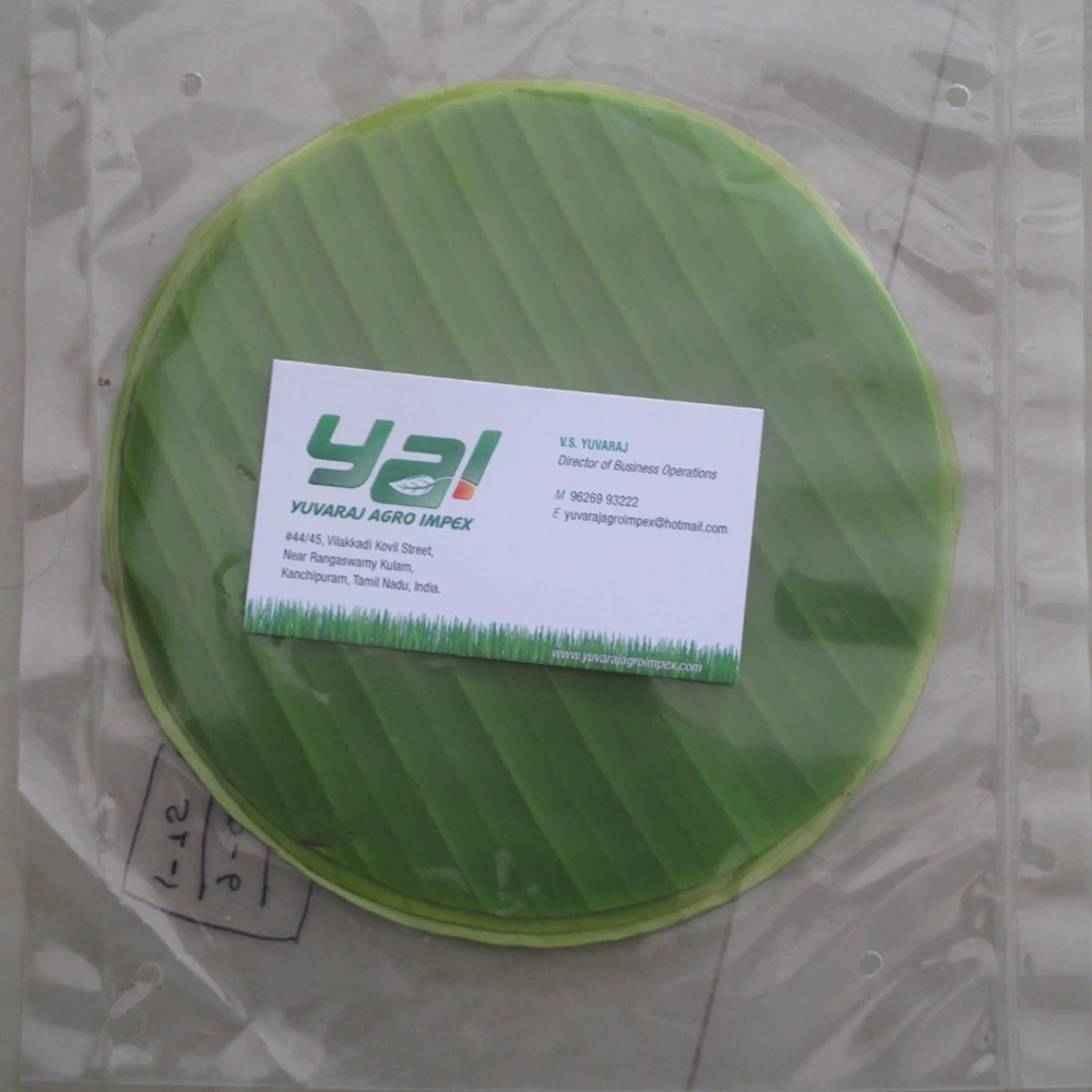 Small Banana Leaf Supplier In Tamilnadu - Buy Banana Leaf In Small Size Manufacturer In India,Super Quality Of Banana Snacks Leaf In Tamilnadu,6 Inch