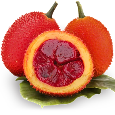 批发价格和高品质的天然红色带刺苦瓜从越南用于食品