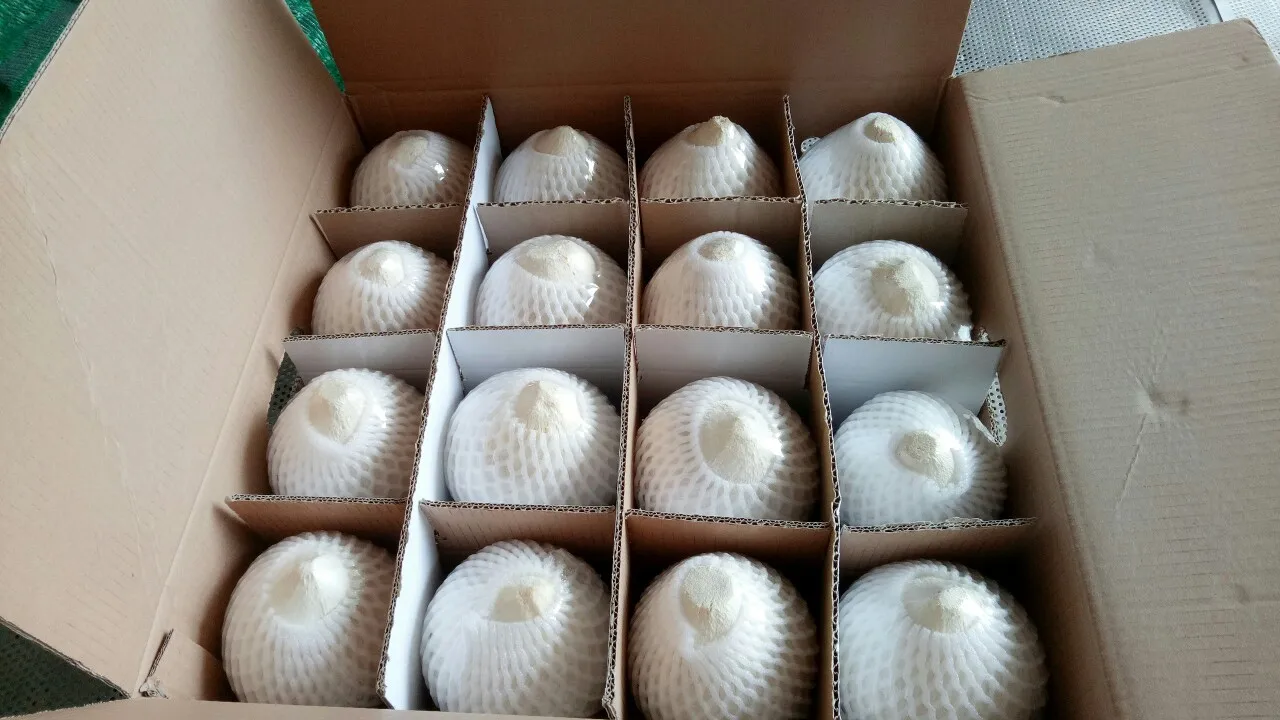 7-1.2 kg/件 -壳类型: 钻石椰子,容易打开椰子,. -包装: 根据客