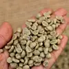 /product-detail/robusta-r16-r18-coffee-bean-from-viet-nam-50047226486.html