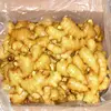 SUPPLIER OF FRESH YOUNG GINGER/ MATURE GINGER