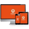 Magento E-commerce web page