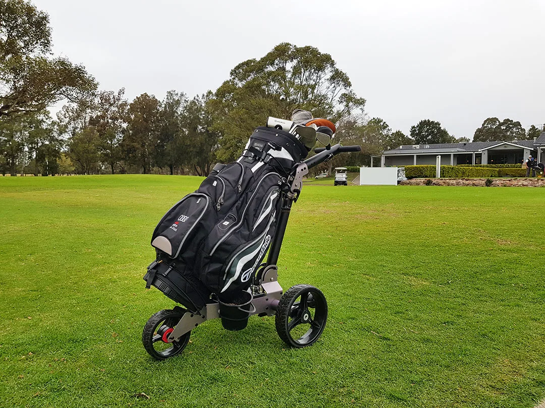 remote control electric golf buggy