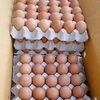 /product-detail/brown-table-eggs-50047291272.html