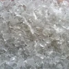 Very Clean PET BOTTLE FLAKES- PET BOTTLE REGRIND FOR SALE