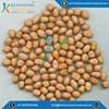 Top Quality Bold Peanuts 120 140 Kernels/ Best Ground Nuts Peanuts from India
