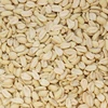 Indian Blanched Peanuts Splits
