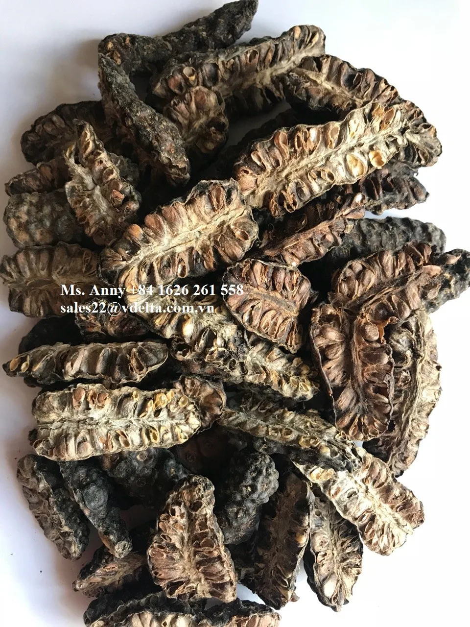 Dried Noni/dried Noni Fruit From Viet Nam(whatsapp+0084 845639639