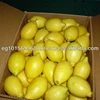 Verna lemon