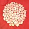 High Quality Raw Peanuts Suppliers in India