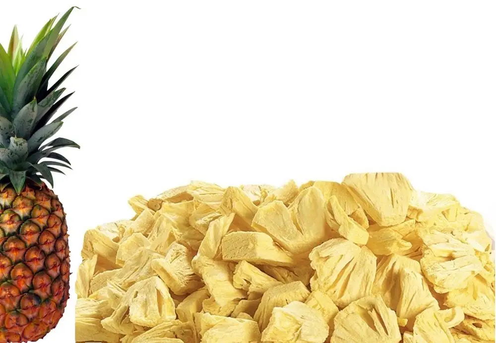 Freeze Dried Pineapple Outdoor & Gardening Home & Living