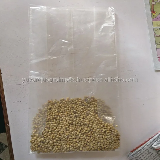 100 Premium Quality Pure Whole Coriander Seeds Exporters In India To