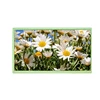 10.1 inch LCD display Screen with 1024X600 resolution WSVGA With LVDS interface 40 pin with optional Touch Screen Panel CTP/RTP