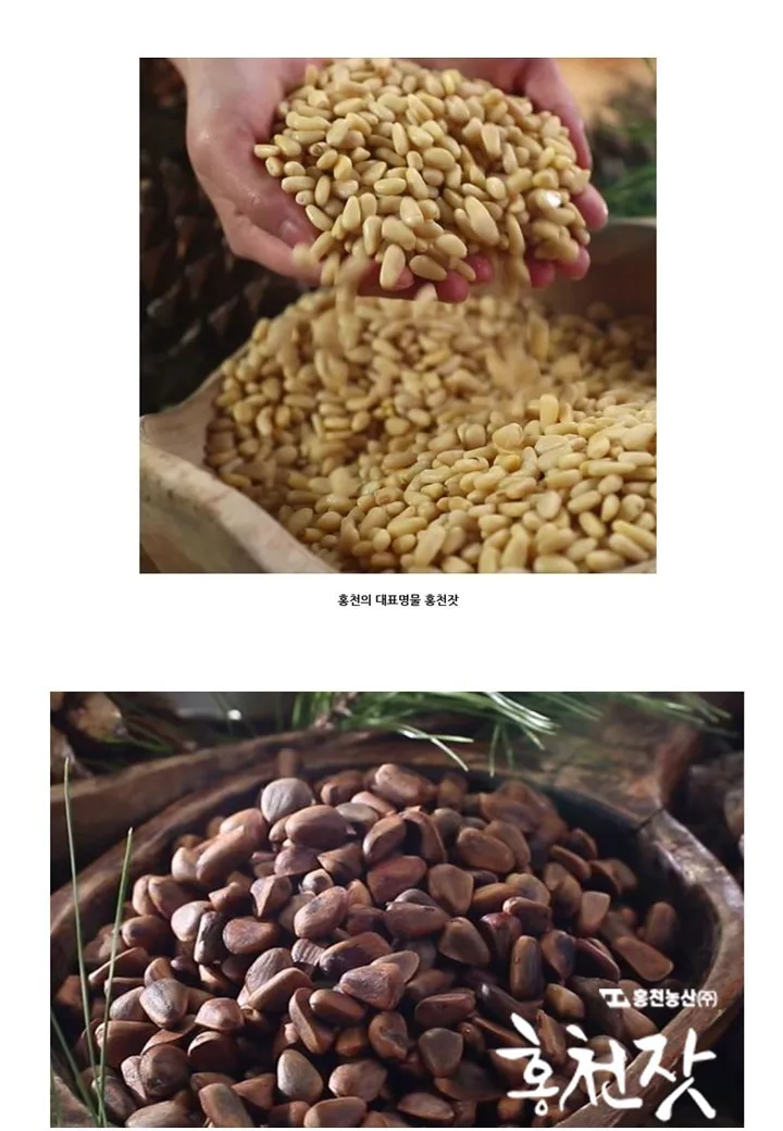 Wholesale Korean Food Health 100g Hong Cheon Pine Nuts Korea Nuts Buy