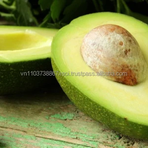 agriculture fruit fresh fruit fresh avocados vietnam organic