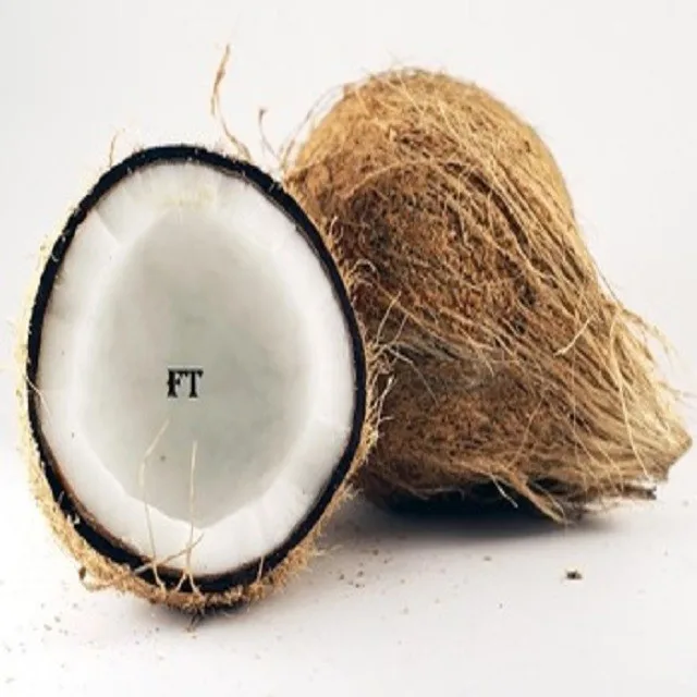 Indian Origin Semi Husked Coconuts Buy Fresh CoconutsCoconuts With.