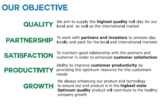 company info2.PNG