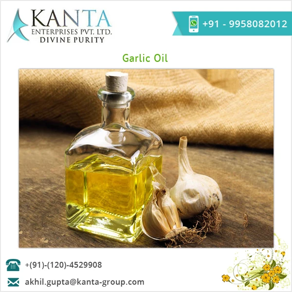india garlic oil price