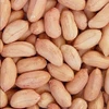 PEANUTS NEW CROP