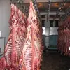 Frozen Beef Carcass, Forequarter, Hindquarter, Offals, Trimming