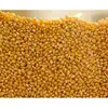 /product-detail/high-quality-non-gmo-dried-white-corn-dried-yellow-corn-maize-62005606443.html