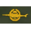 machine embroidery badges Parachute Combat Swimmer Class 1 Yellow On Green Embroidered Parachute jump wings or badge