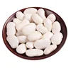 cheap Dried White Bean Best Sale White Kidney Bean