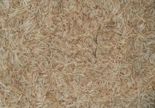 Rice3.jpg