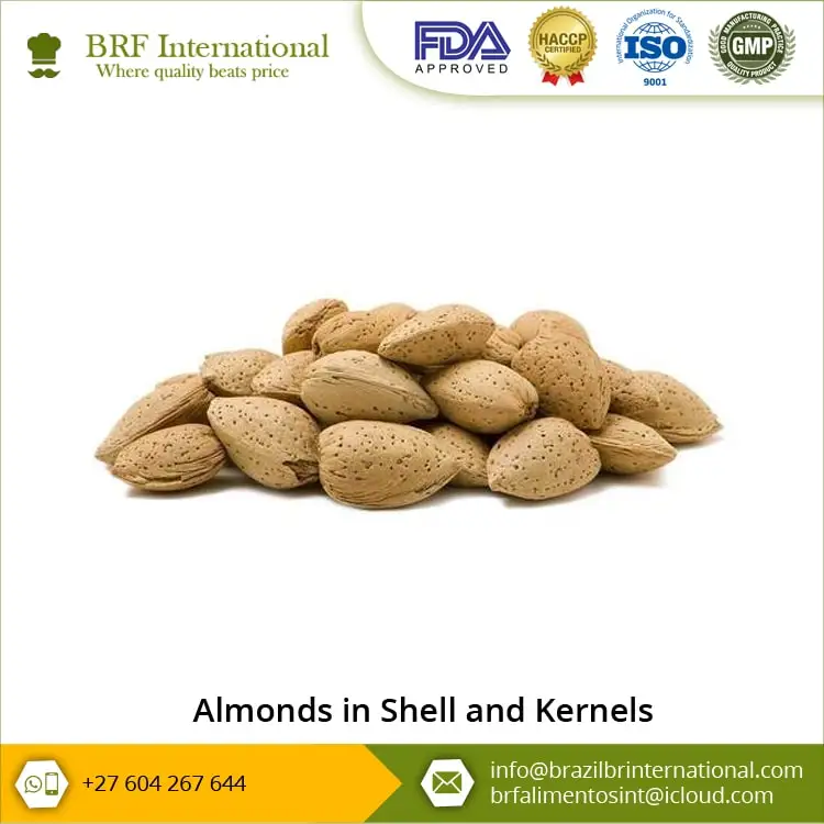 Top Quality Almonds In Shell And Kernels At Wholesale Price Buy