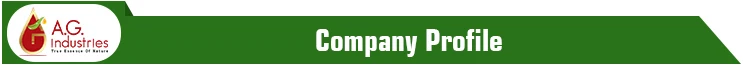 Company title.jpg