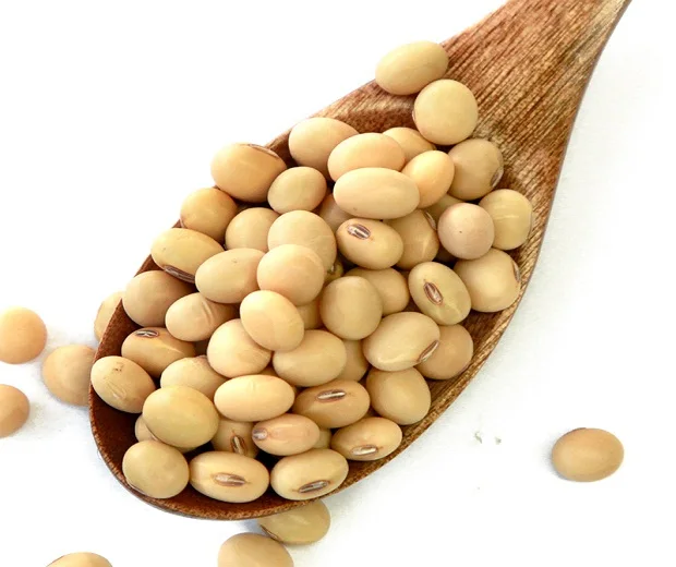 premium quality food organic soybean