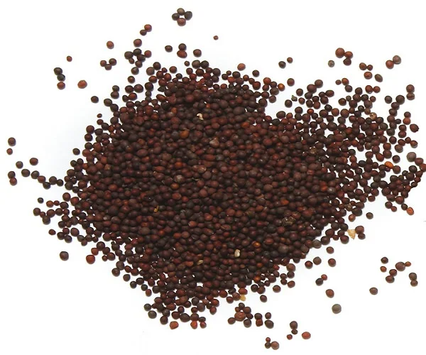 yellow black mustard seeds