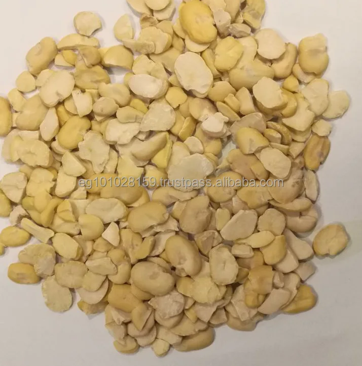 
split broad beans for sale with high quality (grade A) 