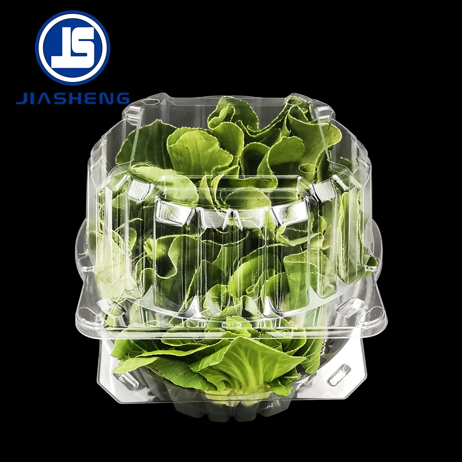 Plastic Butterhead Lettuce Clamshell PET Box, View lettue clamshell, JS