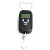 45kg / 10g hook business scale machine indicator small scale weight for fishing