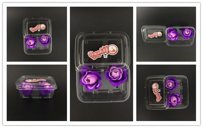 Disposable Plastic Food packaging Compartment Tray with lid