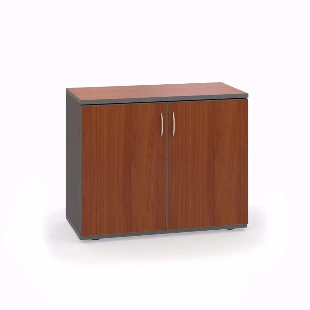 Office Cabinet For Documents Folders For The Printer Two Doors